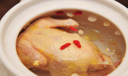 乳鸽汤的做法 这六种简单易做