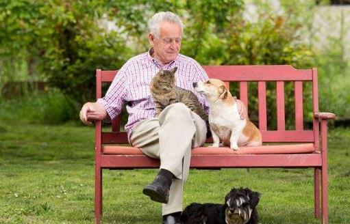 养个宠物 对老人的心理和心情都是十分有益