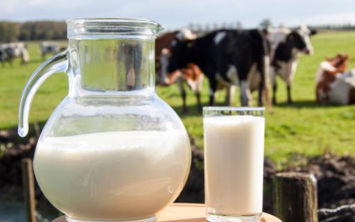 一喝牛奶就拉肚子是乳糖不耐受 喝牛奶的禁忌要记牢