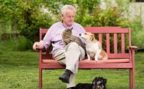 ​养个宠物 对老人的心理和心情都是十分有益