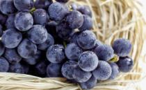 葡萄全身都是宝减脂轻体保年轻 吃葡萄的一些禁忌