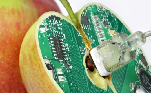 转基因技术的安全性分析 生产转基因食品的原因