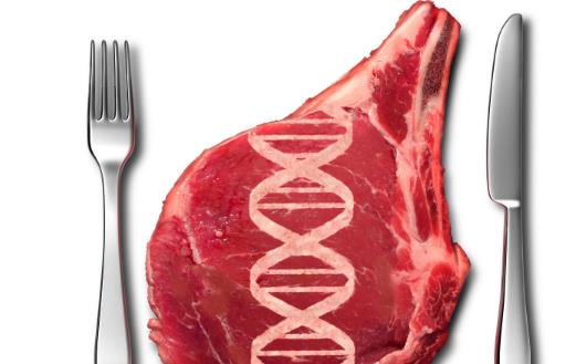 转基因技术的安全性分析 生产转基因食品的原因