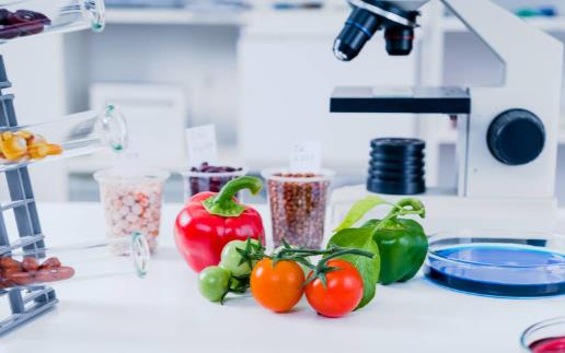 转基因技术的安全性分析 生产转基因食品的原因