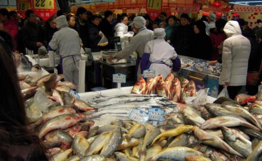 去超市购买食品时 要注意那些问题