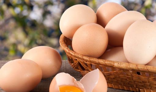给你早餐吃鸡蛋的7个理由 看后你一定会爱上吃鸡蛋