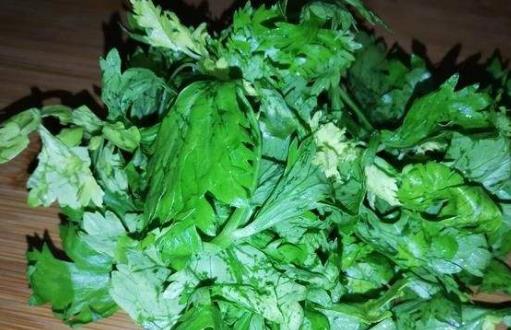 芹菜的药理和治疗价值 芹菜叶的5种美味做法