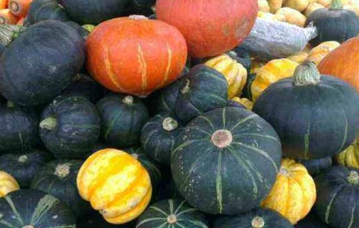 食品对体内毒素起到清洁作用 10种食物排出身体毒素