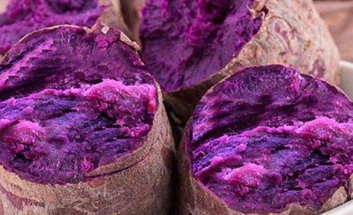 不同颜色薯的区别 紫肉甘薯为花青素大王
