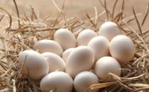 早餐吃鸡蛋的益处多多 鸡蛋最营养的烹饪方法