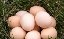 鸡蛋是个宝错吃很苦恼 不同的人群吃不同的量