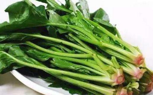 菠菜熬水的功效与作用 