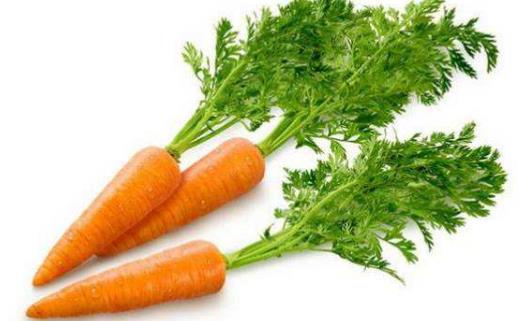 司机视力疲劳的症状 预防视力疲劳的饮食调理