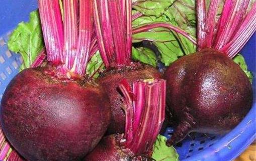 上班提不起精神来 推荐五大护脑抗疲劳食品