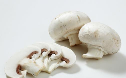 平菇、杏鲍菇、滑子菇…蘑菇这样吃才对味