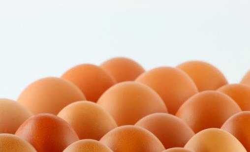 鸡蛋营养丰富 一天最多吃几个