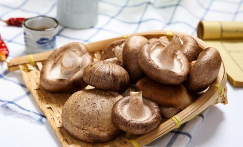 干鲜香菇处理方式各不同