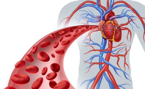 70％心血管病可预防 国人最该重视的健康风险