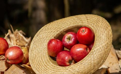 苹果切开不变色的四个方法，哪个更好？
