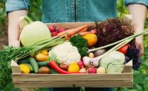 老人养生少吃为妙的蔬菜 老人吃蔬菜有什么讲究