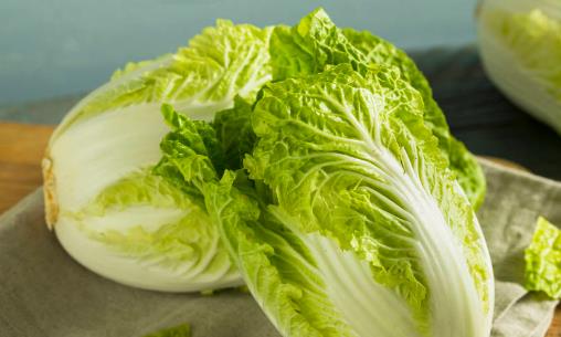 白菜上的小黑点是什么能不能吃 吃大白菜的禁忌分享