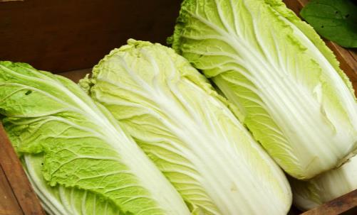 白菜上的小黑点是什么能不能吃 吃大白菜的禁忌分享