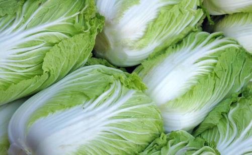 白菜上的小黑点是什么能不能吃 吃大白菜的禁忌分享
