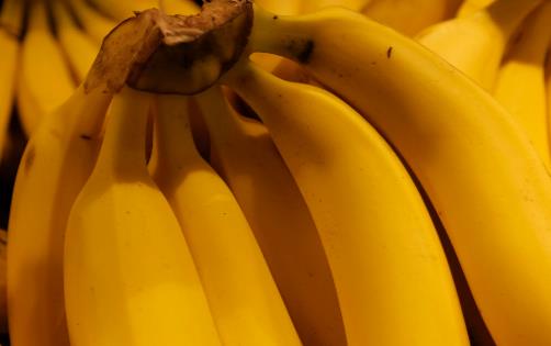 香蕉皮晒干煮水的功效与作用 香蕉皮抑制真菌防脚气