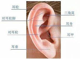 新生儿耳廓畸形能矫正吗？看成都民生耳鼻喉医院如何支招