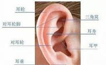 新生儿耳廓畸形能矫正吗？看成都民生耳鼻喉医院如何支招