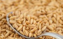 ​用燕麦减肥 燕麦粥的减肥的八种食用方法