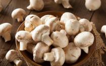 ​蘑菇减肥5个食谱吃了就能瘦下来 赶快收藏