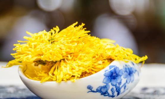 菊花茶可不可以天天喝喝菊花茶需要随泡随饮不要隔夜