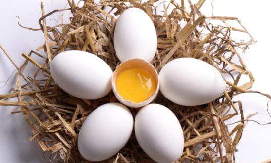 土鸡蛋未必就更有营养 关于土鸡蛋的真假