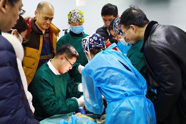 夯实基础，不断探索——丽格学院第三届眼整形进阶研习班圆满落幕