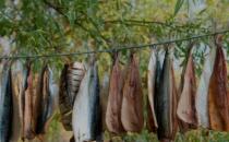 家庭自制鱼干的做法 咸鱼干最原味的两种吃法