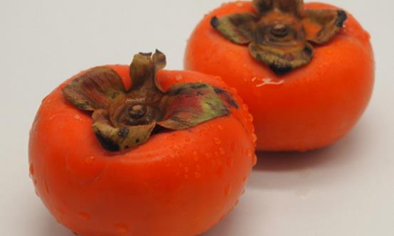 吃柿子最好需要记住下面的禁忌 这样才能做到吃的健康来