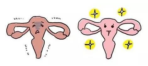 华明基因检测预防衰老，女人保养好卵巢非常重要！