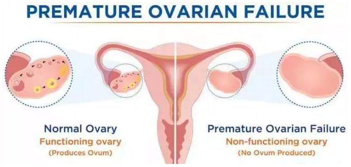 华明基因检测预防衰老，女人保养好卵巢非常重要！