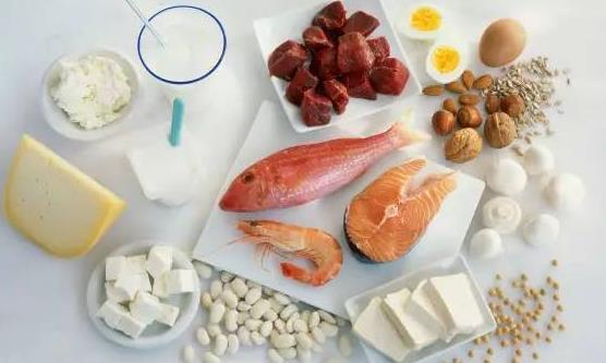 男人肾不好多吃这8种食物 应摄入充足的优质蛋白质