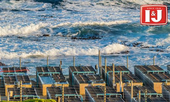 怎样挑选优质的鲍鱼?I&J鲍鱼选购技巧大有讲究