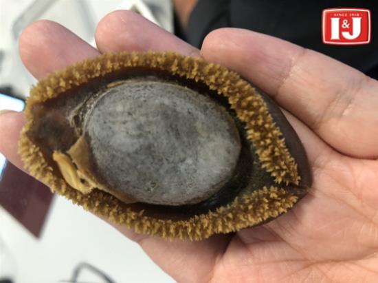 怎样挑选优质的鲍鱼?I&J鲍鱼选购技巧大有讲究