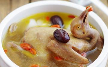 【鸽子汤】鸽子汤的营养价值及食用功效与作用_鸽子汤相关知识