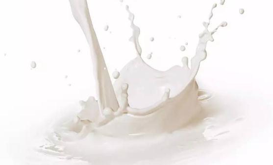 羊奶牛奶吸收利用大比拼 羊奶有镇静安神的作用