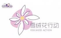 2020蜜特奥儿“雪绒花计划”全面开启，隆重来袭！