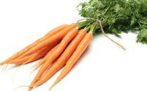 ​胡萝卜被称小人参的原因 做法多样吃法多