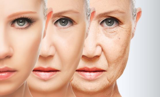 如何延缓肌肤衰老 食物美容远离肌肤衰老