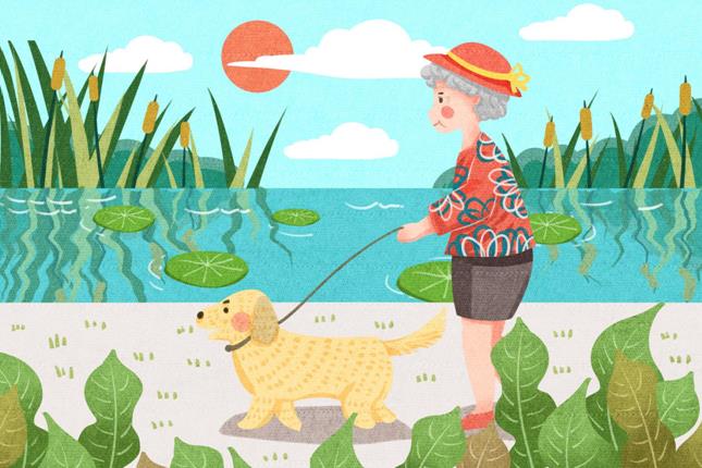 老年人如何增强免疫力?蛋白粉什么牌子好?