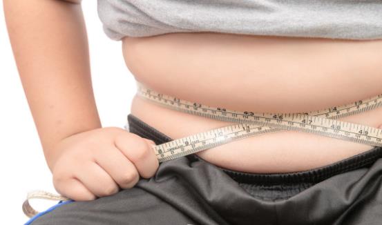 顽固性肥胖如何减肥成功 坚持4个原则