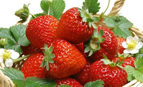 挑选草莓的小窍门 过大过重的草莓不要买
